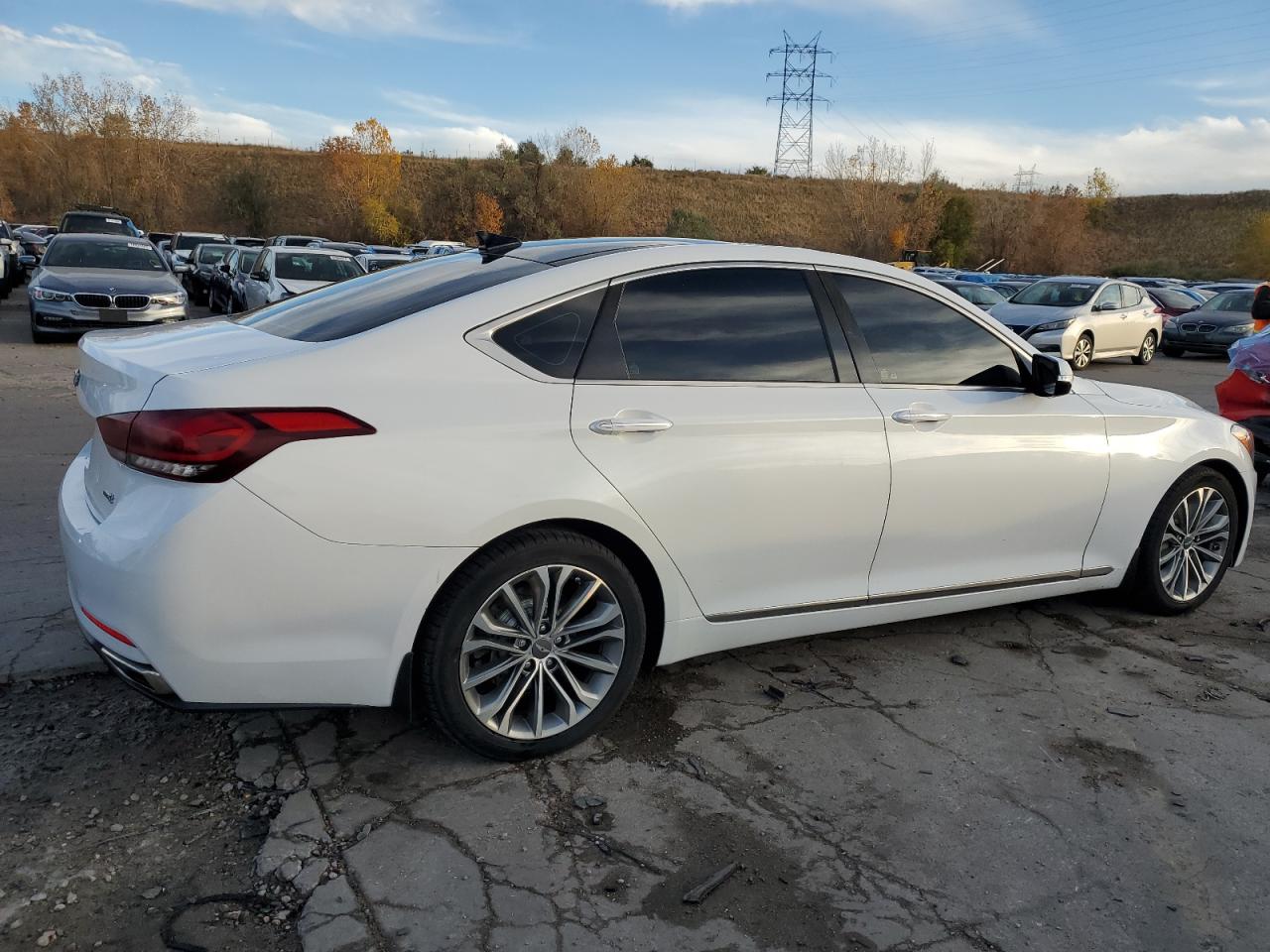2016 Hyundai Genesis VIN KMHGN4JE2GU128269 Copart auction photo, hail damage thumbnail 3