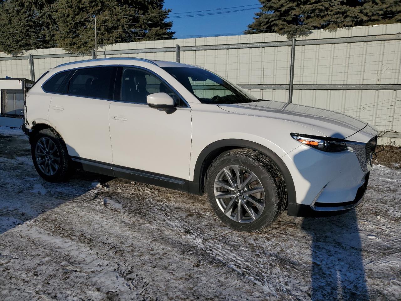 2019 Mazda CX-9 VIN JM3TCBDY2K0326795 Copart auction photo, rear end damage thumbnail 4