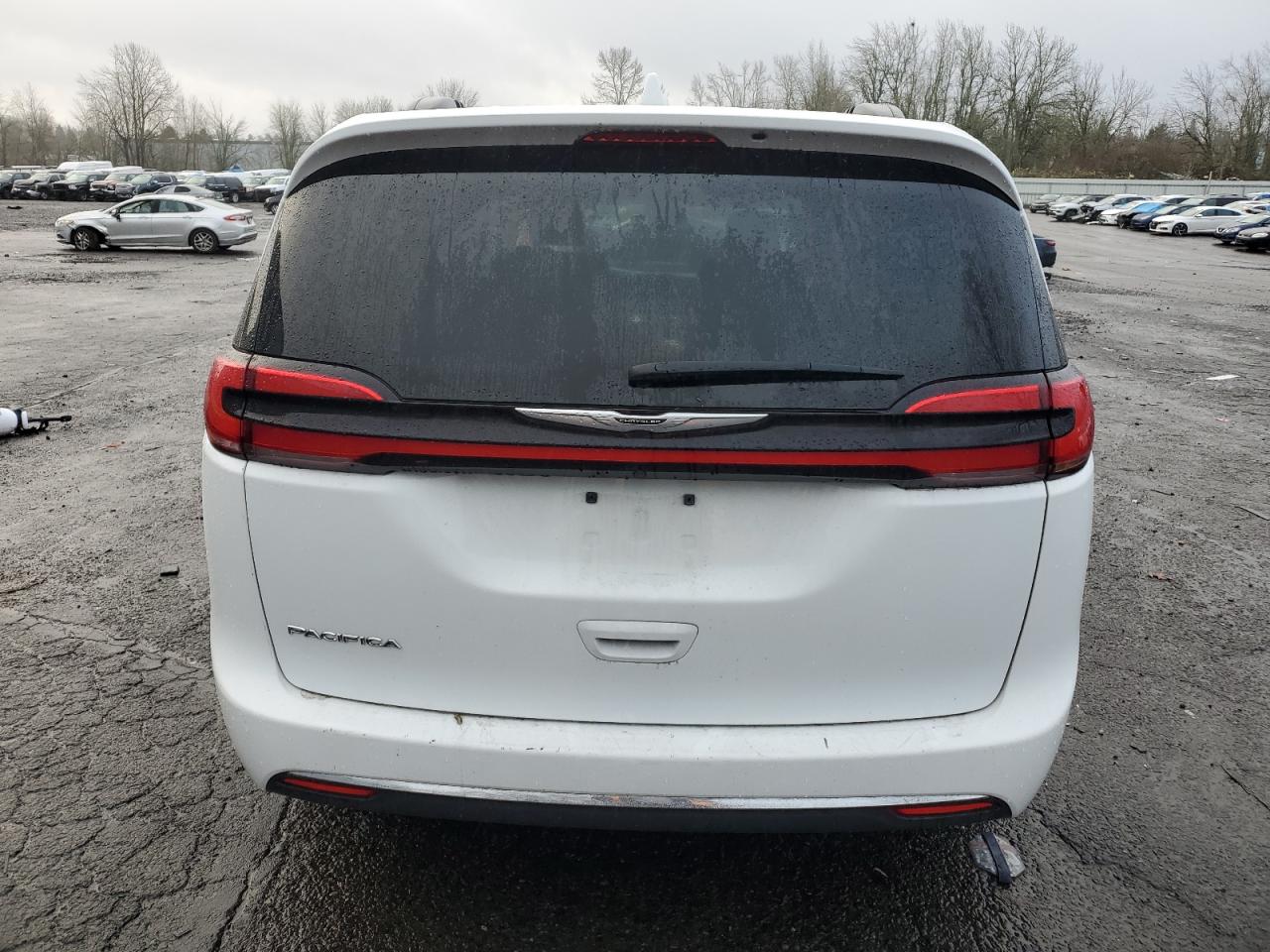 2022 Chrysler Pacifica VIN 2C4RC1BG3NR190145 Copart auction photo, biohazard/chemical damage thumbnail 6
