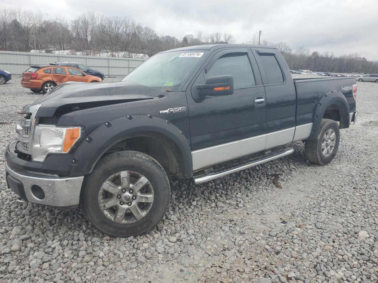 2013 Ford F-150 VIN 1FTEX1EM3DFD61163