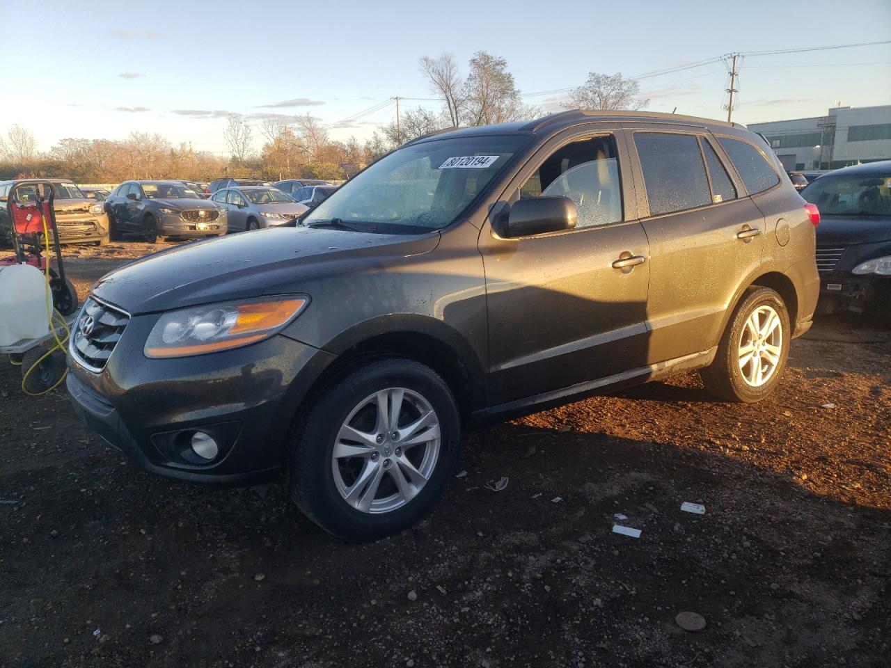 2010 Hyundai Santa Fe VIN 5NMSH4AGXAH397061