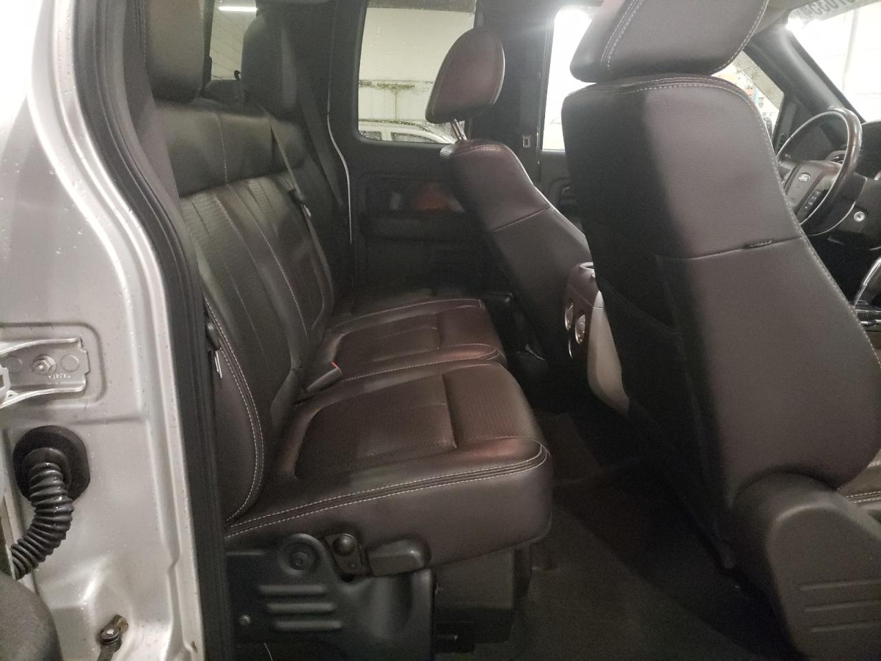 2010 Ford F-150 VIN 1FTFX1EV0AFA07514 Copart auction photo, hail damage thumbnail 10