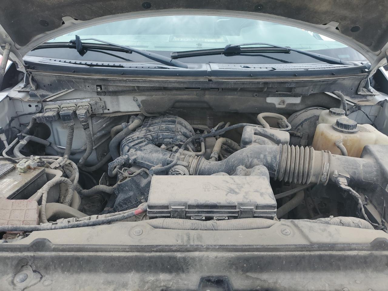 2013 Ford F-150 VIN 1FTMF1CM3DKF85087 Copart auction photo, hail damage thumbnail 11