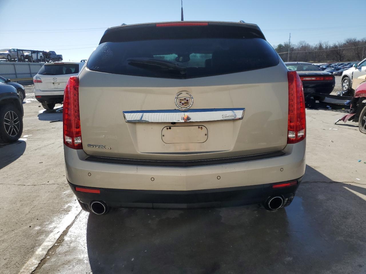 2010 Cadillac SRX VIN 3GYFNDEY9AS515617 Copart auction photo, front end damage thumbnail 6