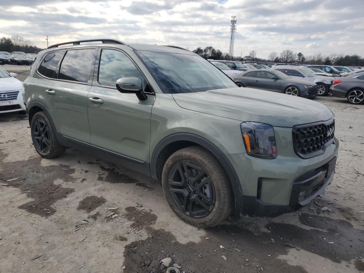 2024 KIA Telluride VIN 5XYP5DGCXRG557254 Copart auction photo, rear end / side damage thumbnail 4