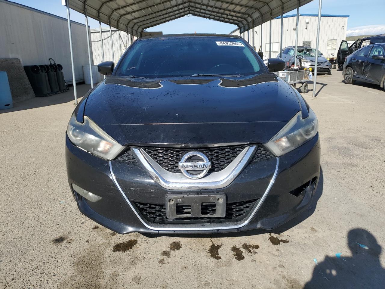 2016 Nissan Maxima VIN 1N4AA6AP5GC425079 Copart auction photo, rear end damage thumbnail 5