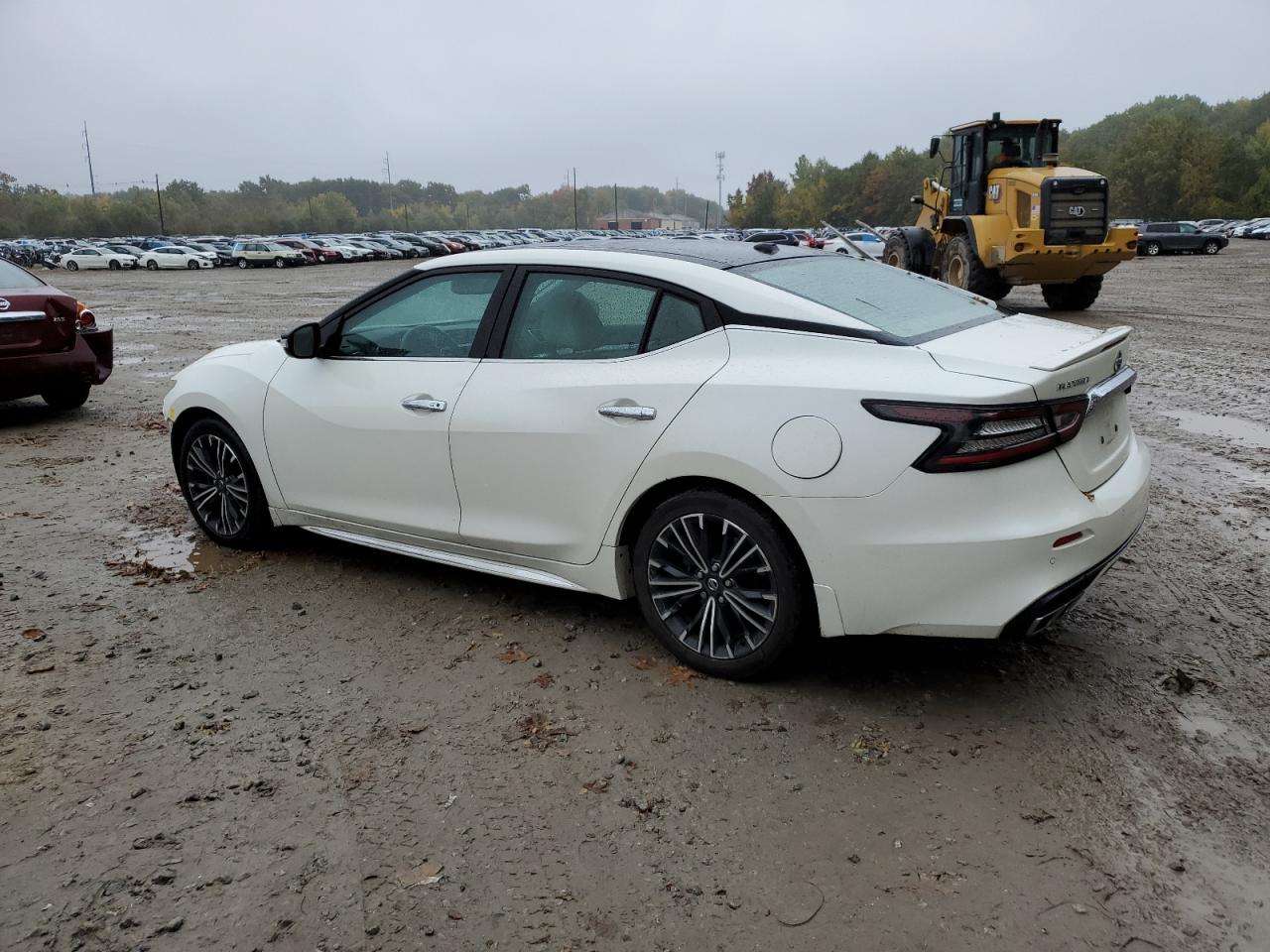 2019 Nissan Maxima VIN 1N4AA6AV8KC373583 Copart auction photo, front end damage thumbnail 2