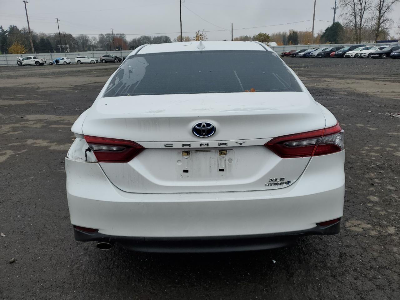2023 Toyota Camry VIN 4T1F31AK1PU612990 Copart auction photo, side damage thumbnail 6