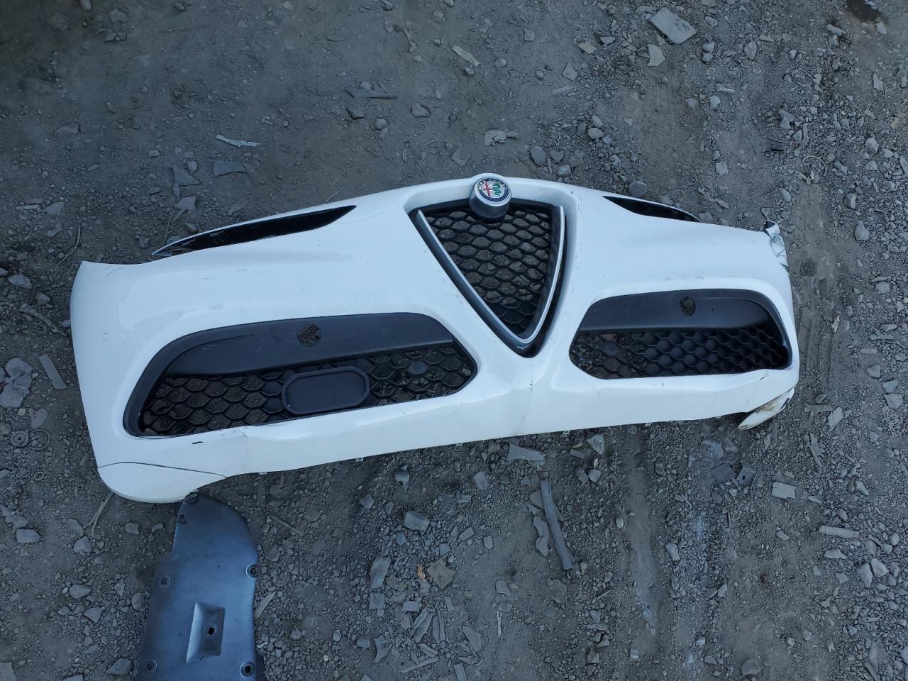 2020 Alfa Romeo Stelvio VIN ZASPAKBN7L7C76386 Copart auction photo, front end / minor dent/scratches damage thumbnail 13