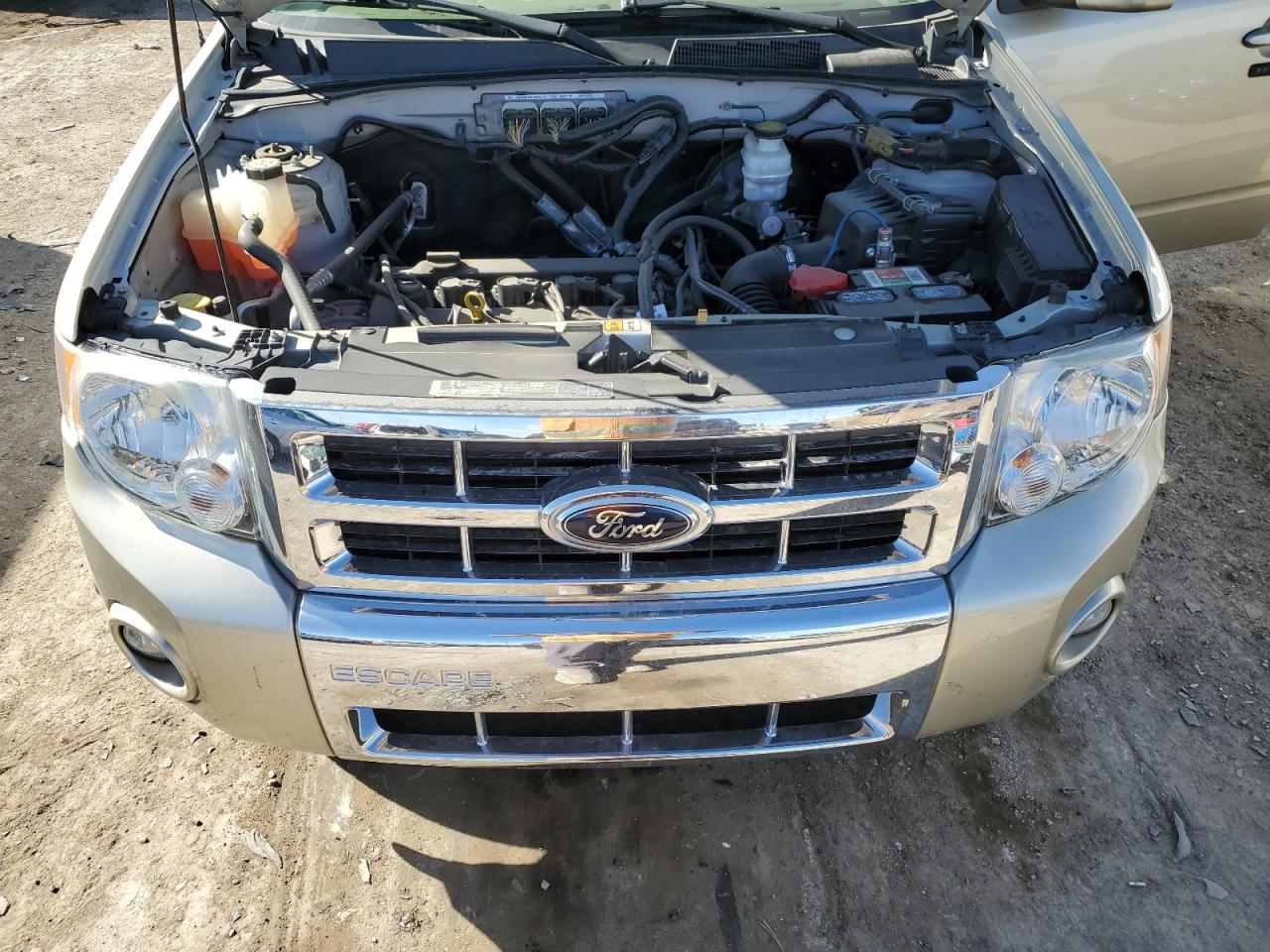 2011 Ford Escape VIN 1FMCU0E73BKC40556 Copart auction photo, rear end damage thumbnail 13
