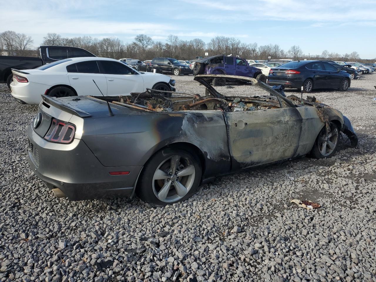 2014 Ford Mustang VIN 1ZVBP8FFXE5218761 Copart auction photo, burn / front end damage thumbnail 3