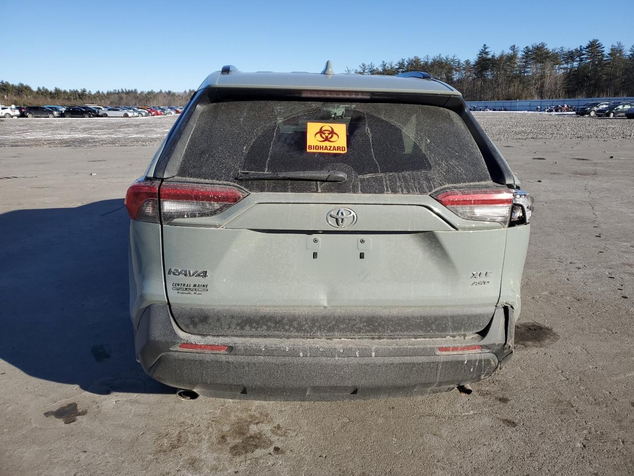2019 Toyota RAV 4 VIN 2T3P1RFV5KC031814 Copart auction photo, biohazard/chemical / all over damage thumbnail 6