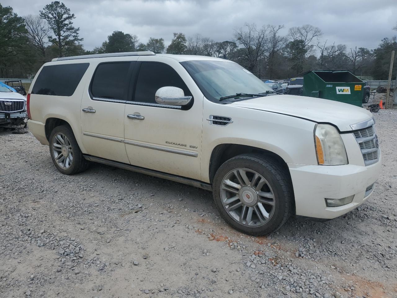 2010 Cadillac Escalade VIN 1GYUCKEF0AR257443 Copart auction photo, side damage thumbnail 4