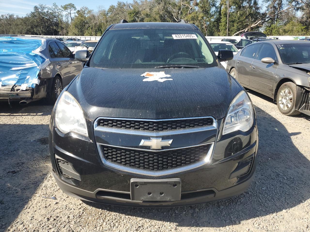 2010 Chevrolet Equinox VIN 2CNFLDEYXA6300592 Copart auction photo, water/flood / undercarriage damage thumbnail 5