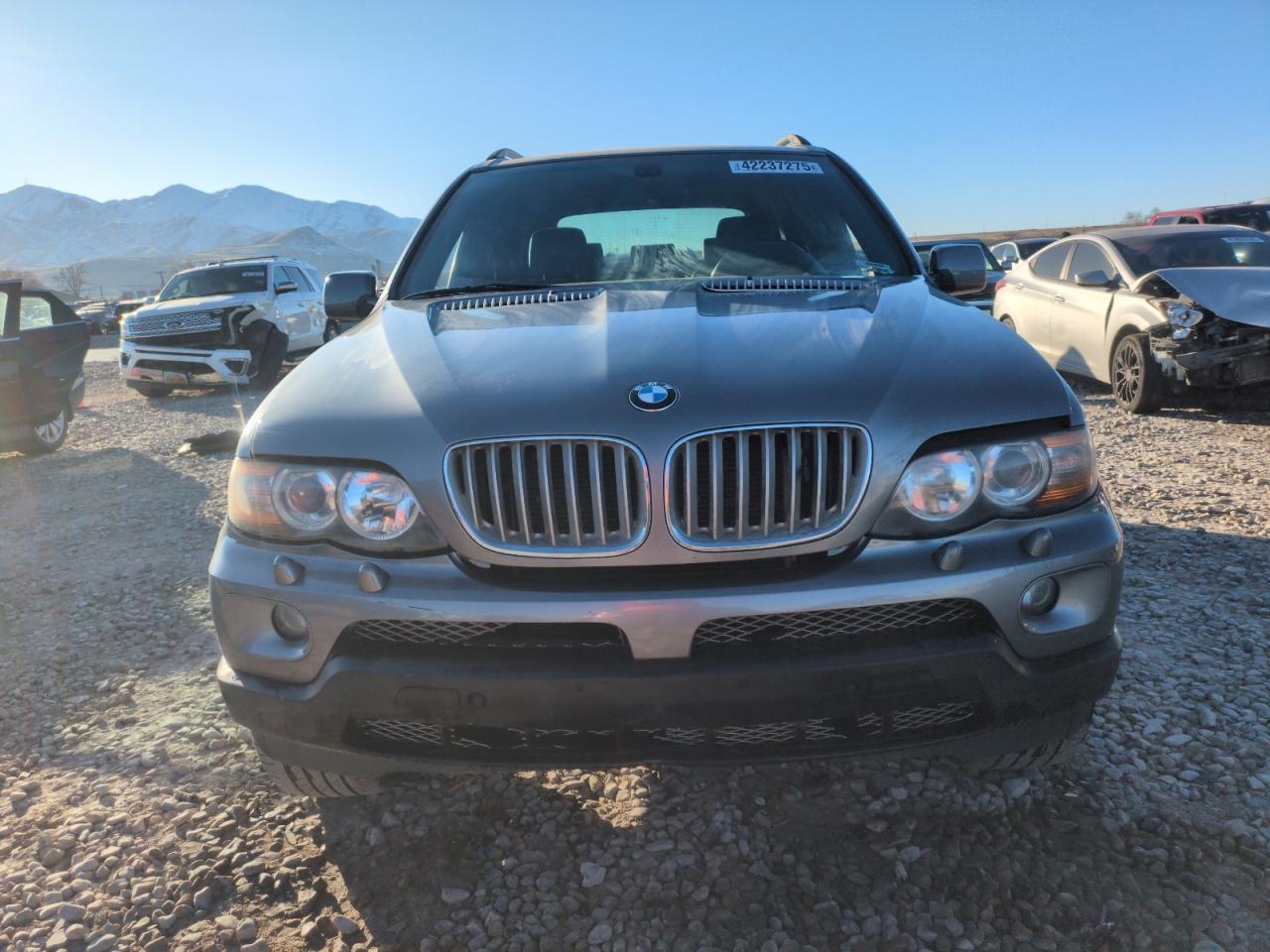 2005 BMW X5 VIN 5UXFB53565LV15307 Copart auction photo, rear end damage thumbnail 5
