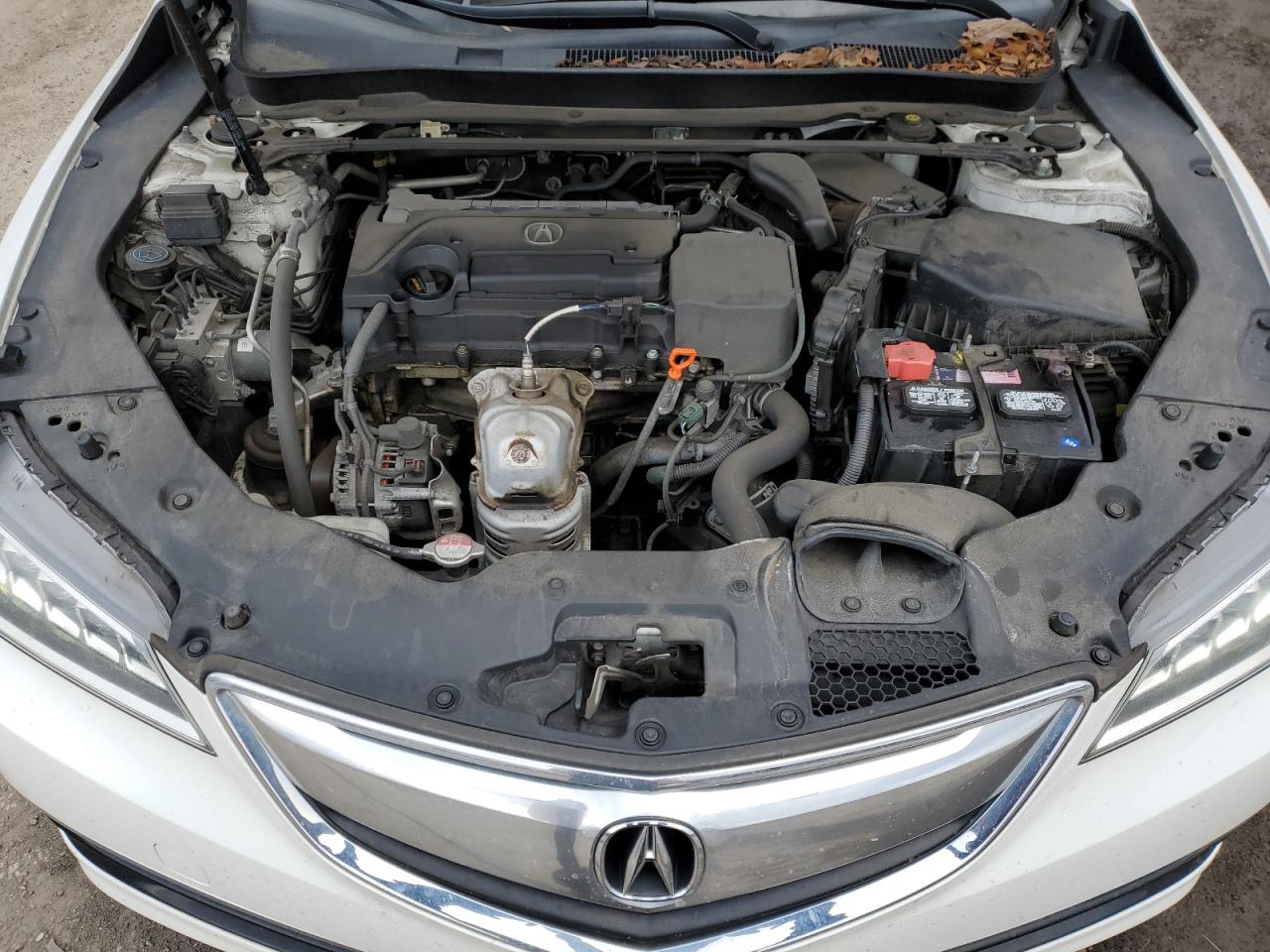 2017 Acura TLX VIN 19UUB1F37HA002676 Copart auction photo, side / rear end damage thumbnail 11