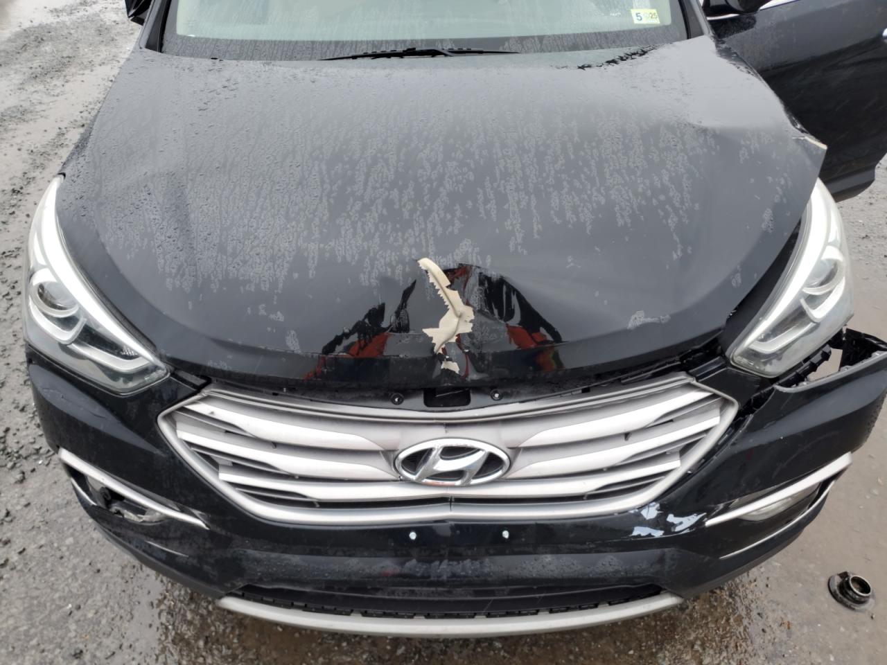 2017 Hyundai Santa Fe VIN 5NMZUDLB3HH032811 Copart auction photo, front end damage thumbnail 12