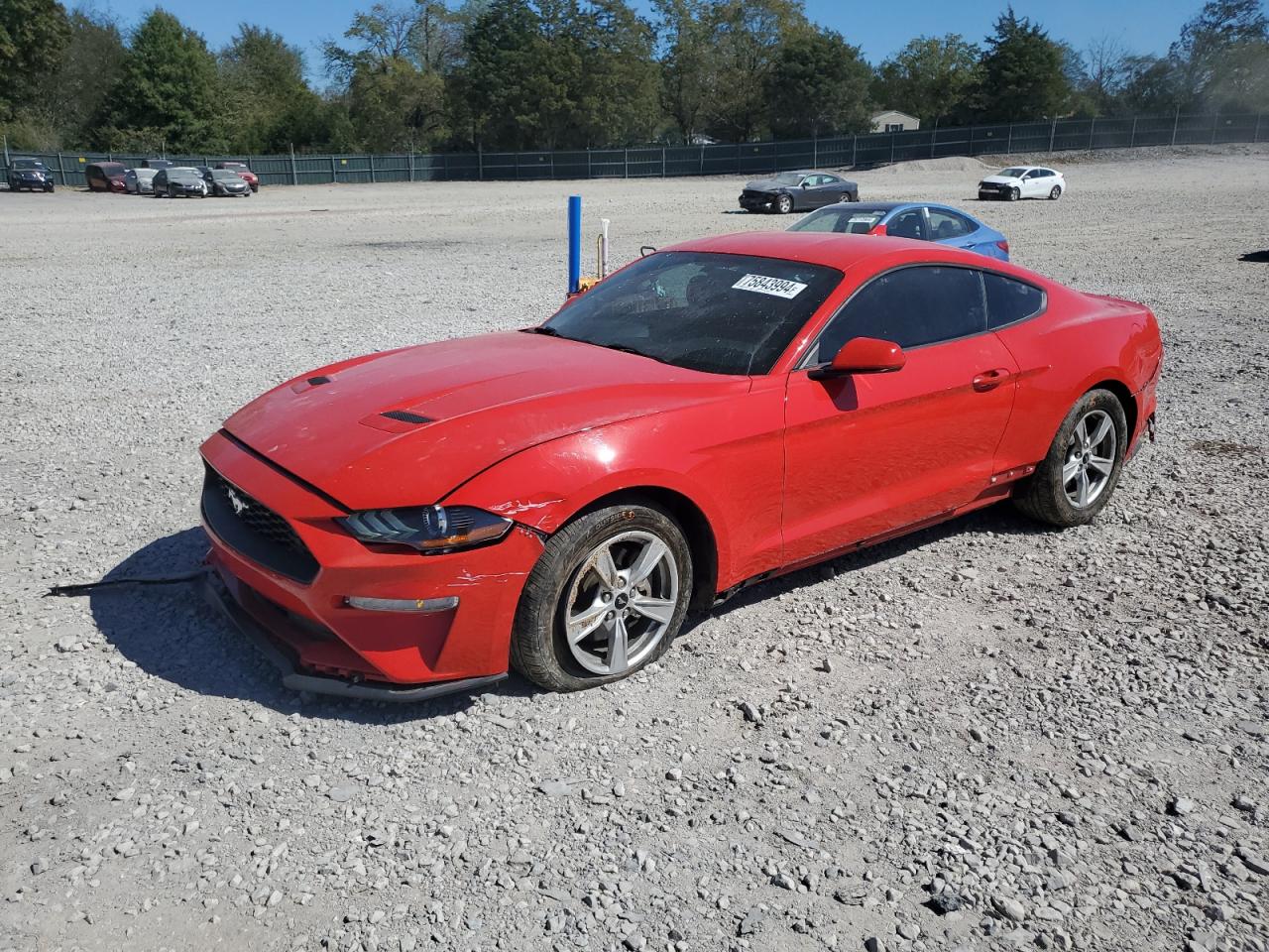 2020 Ford Mustang VIN 1FA6P8TH3L5177600