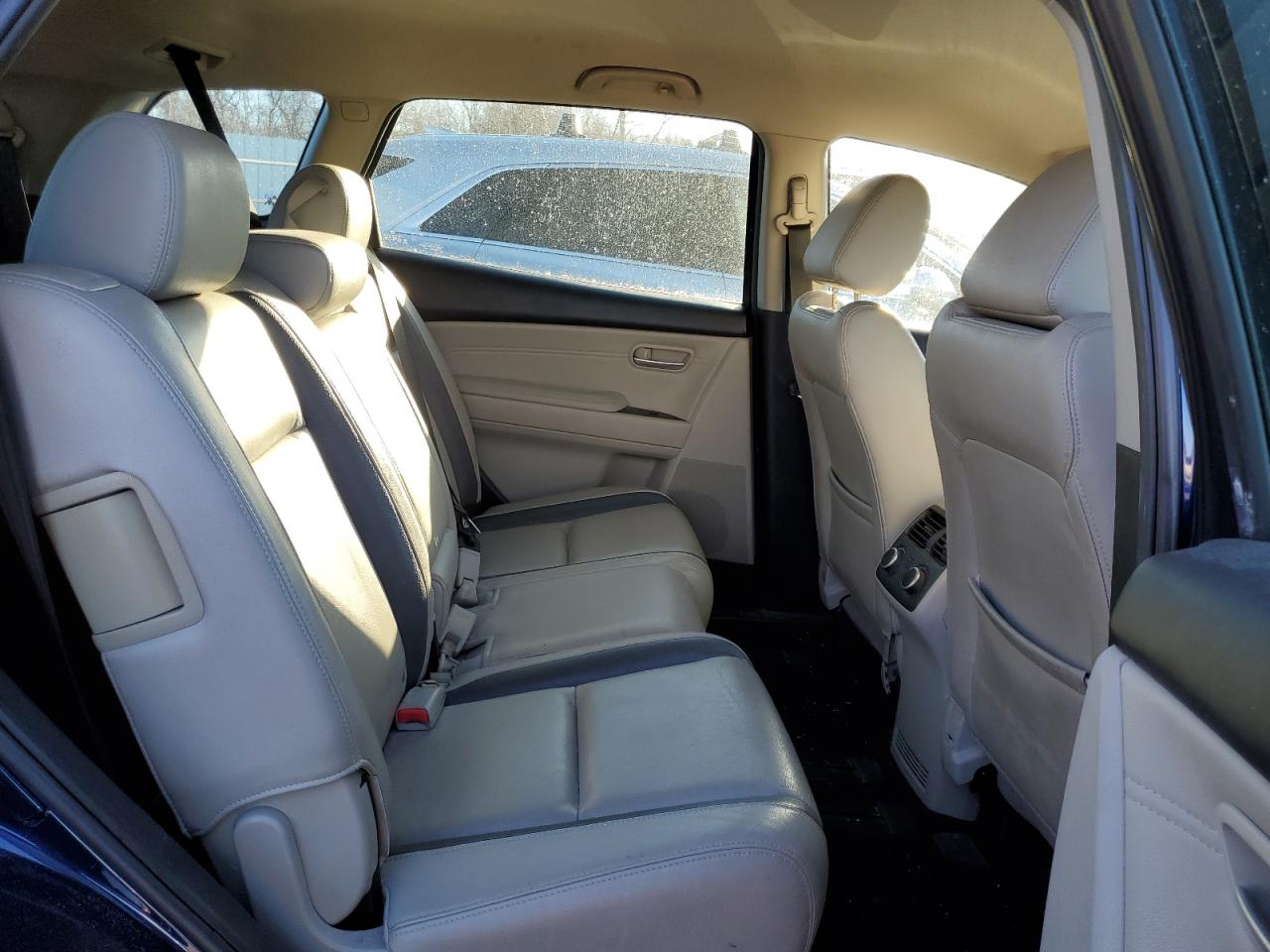 2008 Mazda CX-9 VIN JM3TB28A080162472 Copart auction photo, side / minor dent/scratches damage thumbnail 10
