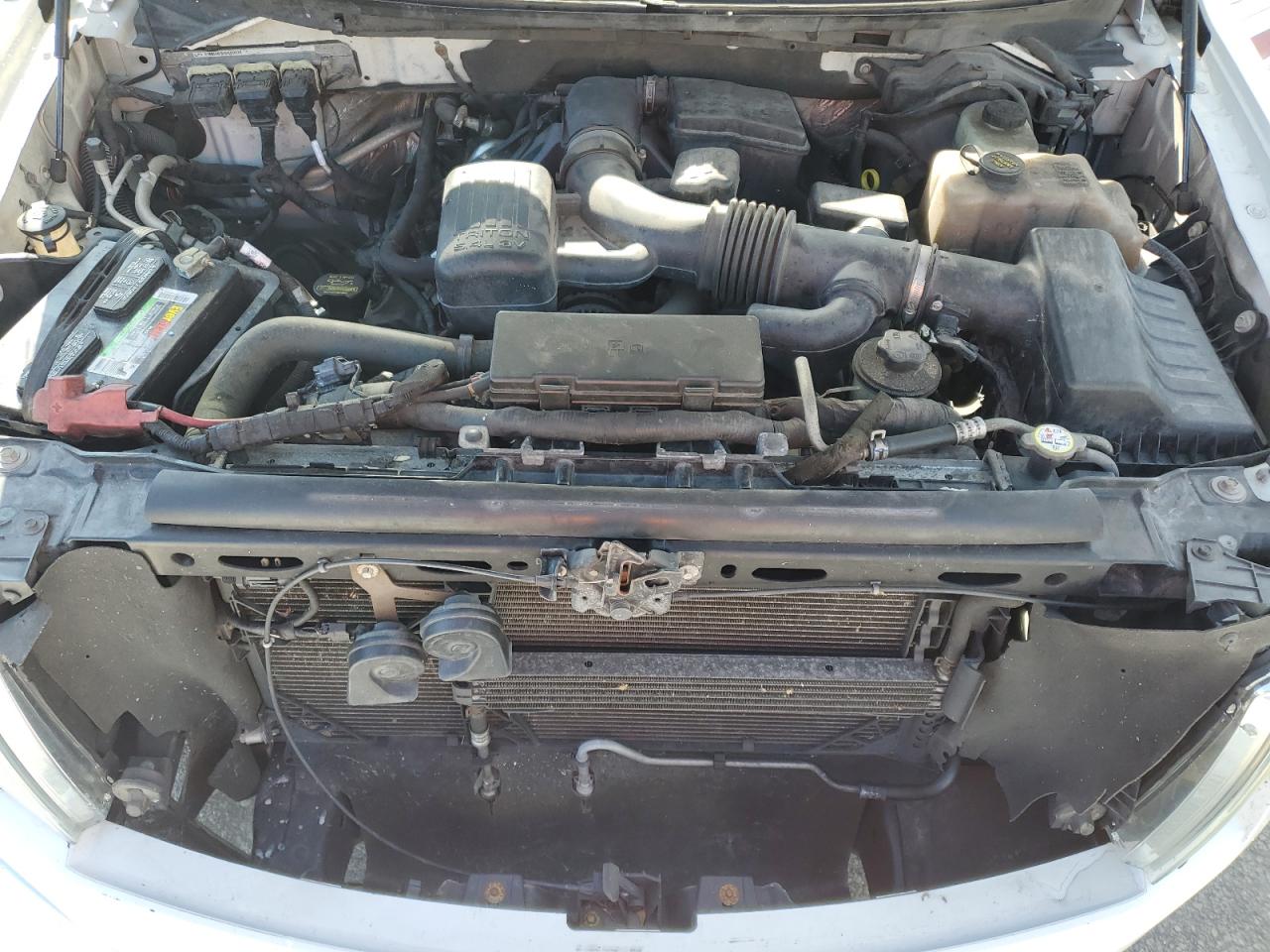 2010 Ford F-150 VIN 1FTFW1EV3AFB23115 Copart auction photo, front end / minor dent/scratches damage thumbnail 11