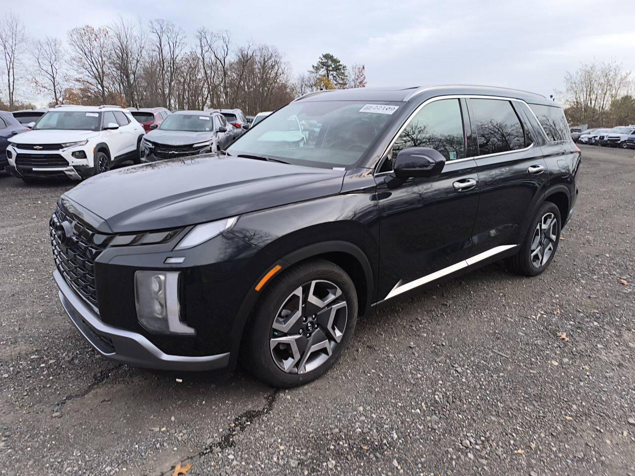 2024 Hyundai Palisade VIN KM8R5DGEXRU789714