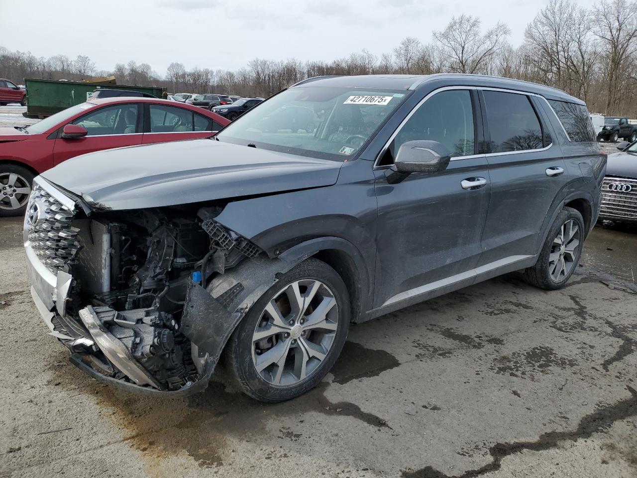 2021 Hyundai Palisade VIN KM8R5DHE9MU190665
