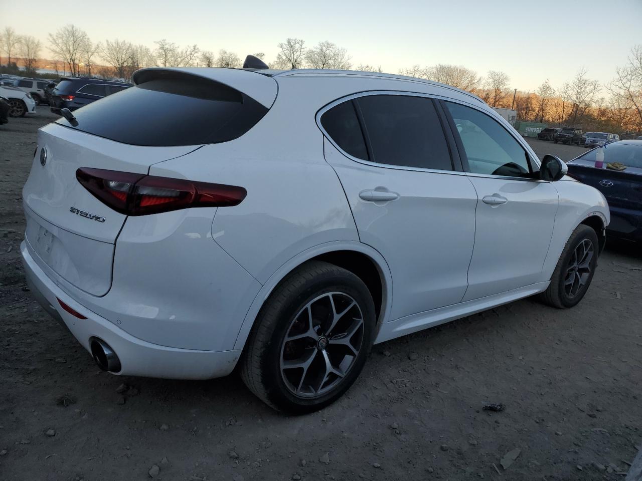2020 Alfa Romeo Stelvio VIN ZASPAKBN7L7C76386 Copart auction photo, front end / minor dent/scratches damage thumbnail 3