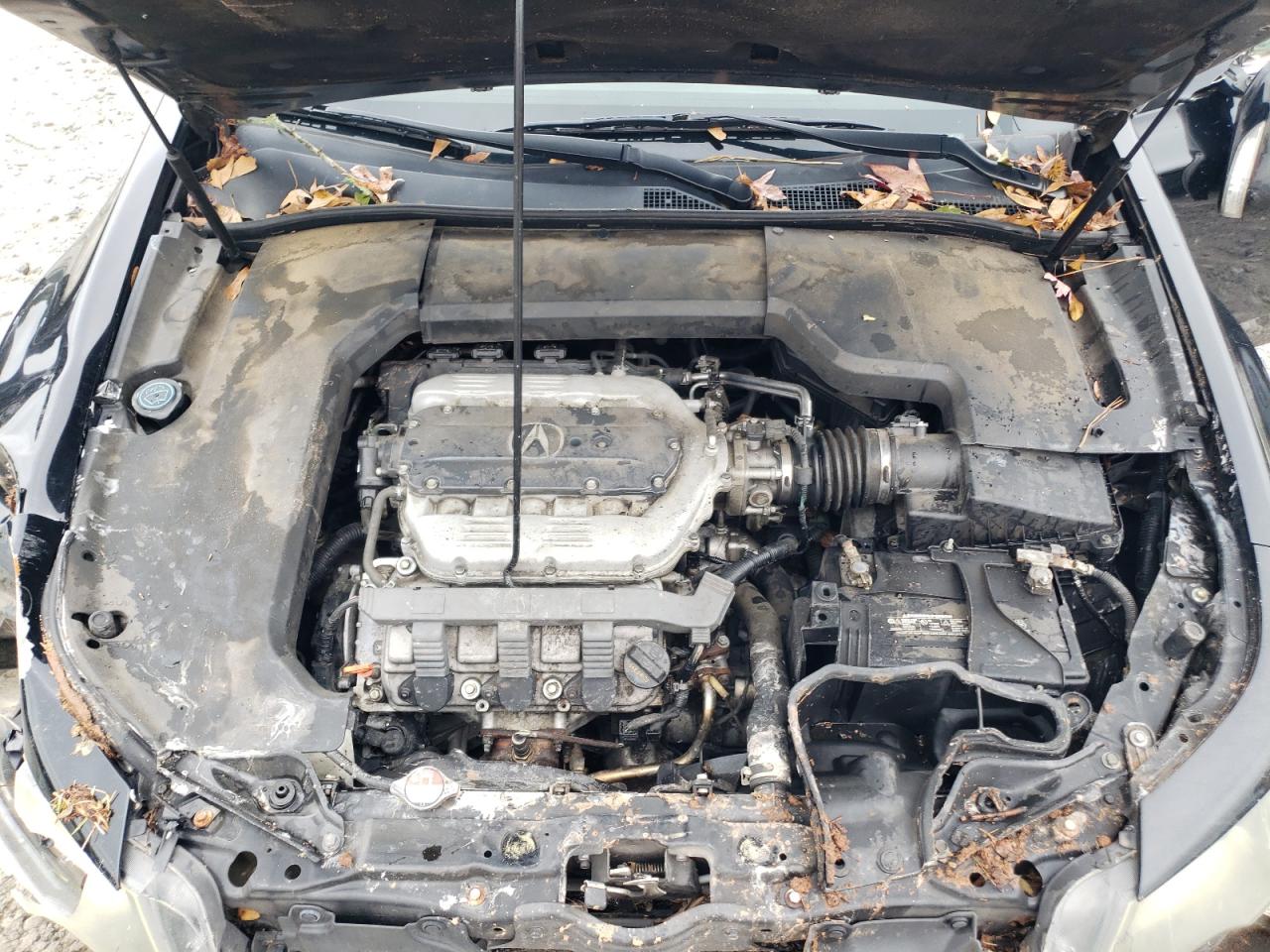 2013 Acura TL VIN 19UUA8F7XDA001904 Copart auction photo, all over / mechanical damage thumbnail 11