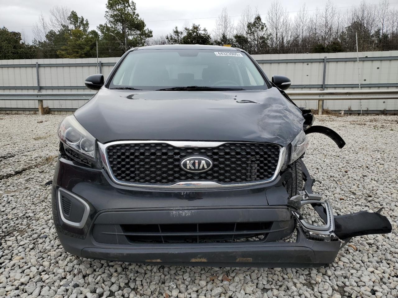 2017 KIA Sorento VIN 5XYPG4A31HG240836 Copart auction photo, front end damage thumbnail 5
