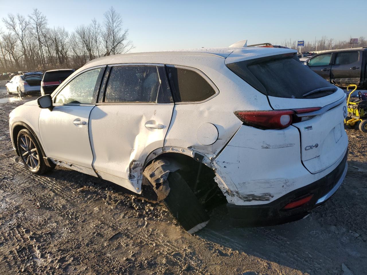 2020 Mazda CX-9 VIN JM3TCADY3L0415139 Copart auction photo, rear end / side damage thumbnail 2