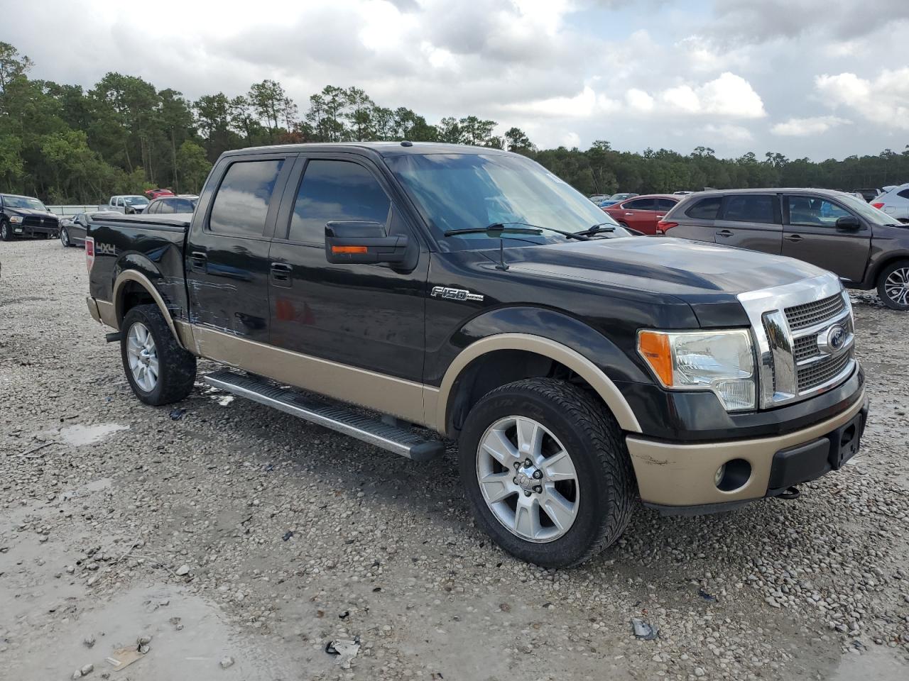 2011 Ford F-150 VIN 1FTFW1EFXBFA72206 Copart auction photo, side damage thumbnail 4