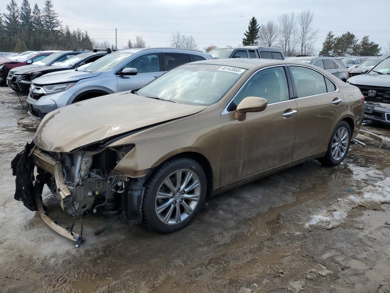 2009 Lexus ES VIN JTHBJ46G792308042 - Copart auction photo