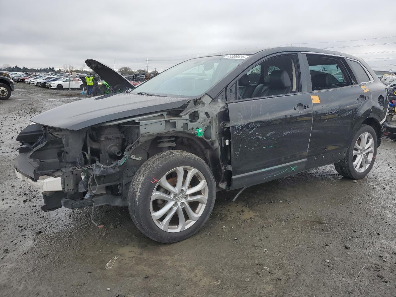 2011 Mazda CX-9 VIN JM3TB3DV9B0329028 - Copart auction photo