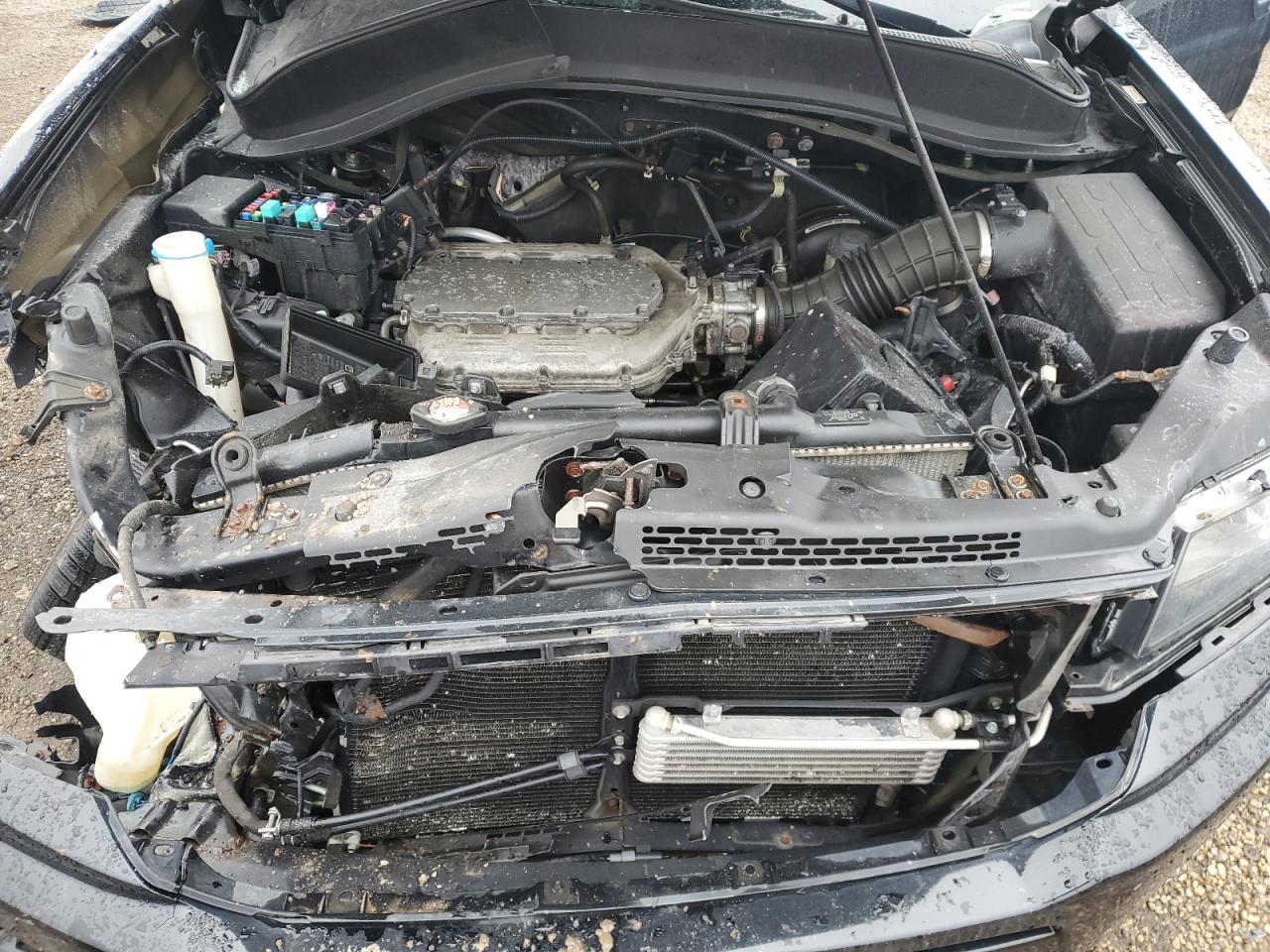 2013 Honda Ridgeline VIN 5FPYK1F73DB015565 Copart auction photo, side / all over damage thumbnail 11