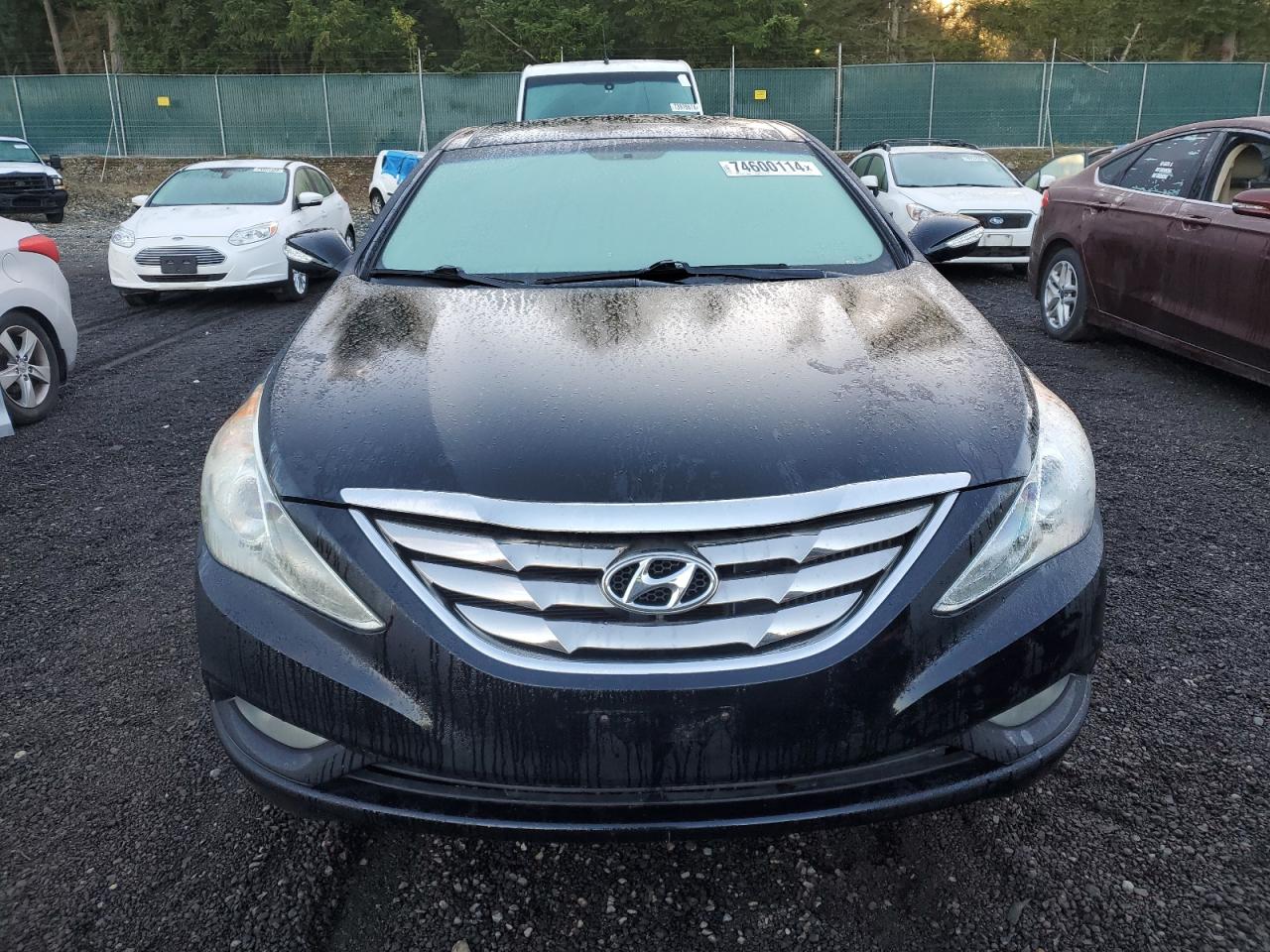 2013 Hyundai Sonata VIN 5NPEC4AB4DH567020 Copart auction photo, minor dent/scratches damage thumbnail 5