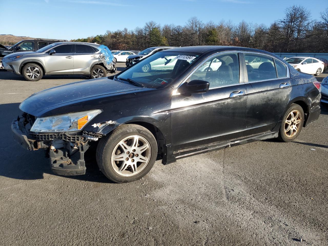 2010 Honda Accord VIN 1HGCP2F33AA103254