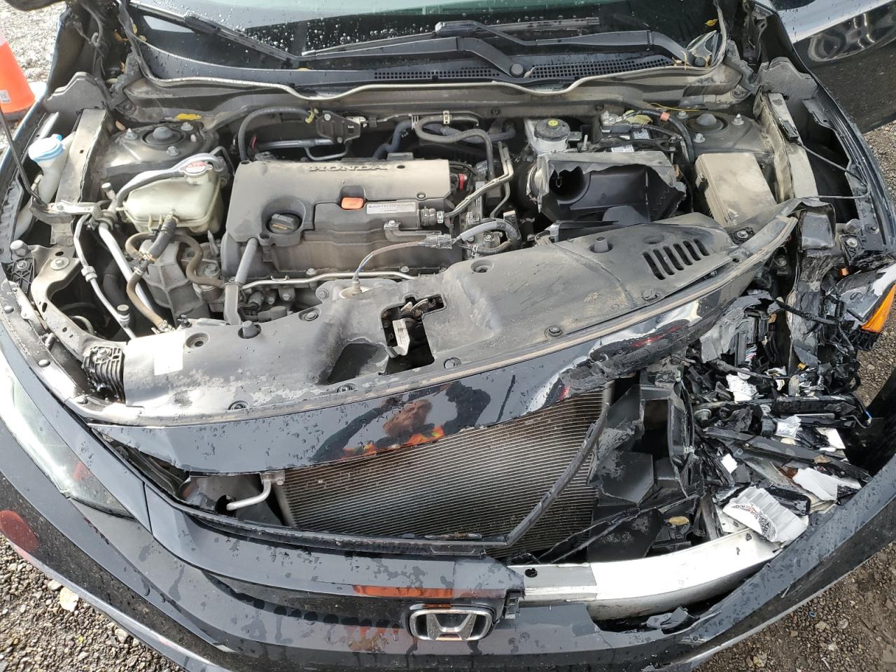 2019 Honda Civic VIN 2HGFC2F68KH552306 Copart auction photo, front end damage thumbnail 11