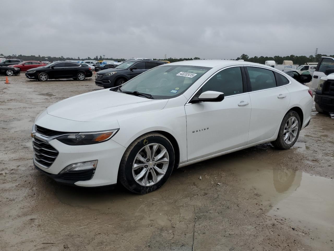 2019 Chevrolet Malibu VIN 1G1ZD5ST8KF104633