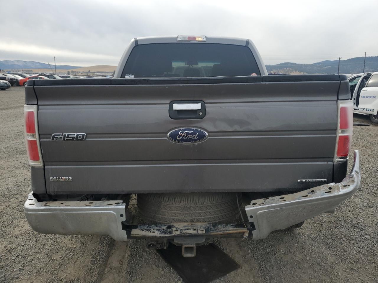2013 Ford F-150 VIN 1FTFW1CF1DFB41368 Copart auction photo, all over damage thumbnail 6