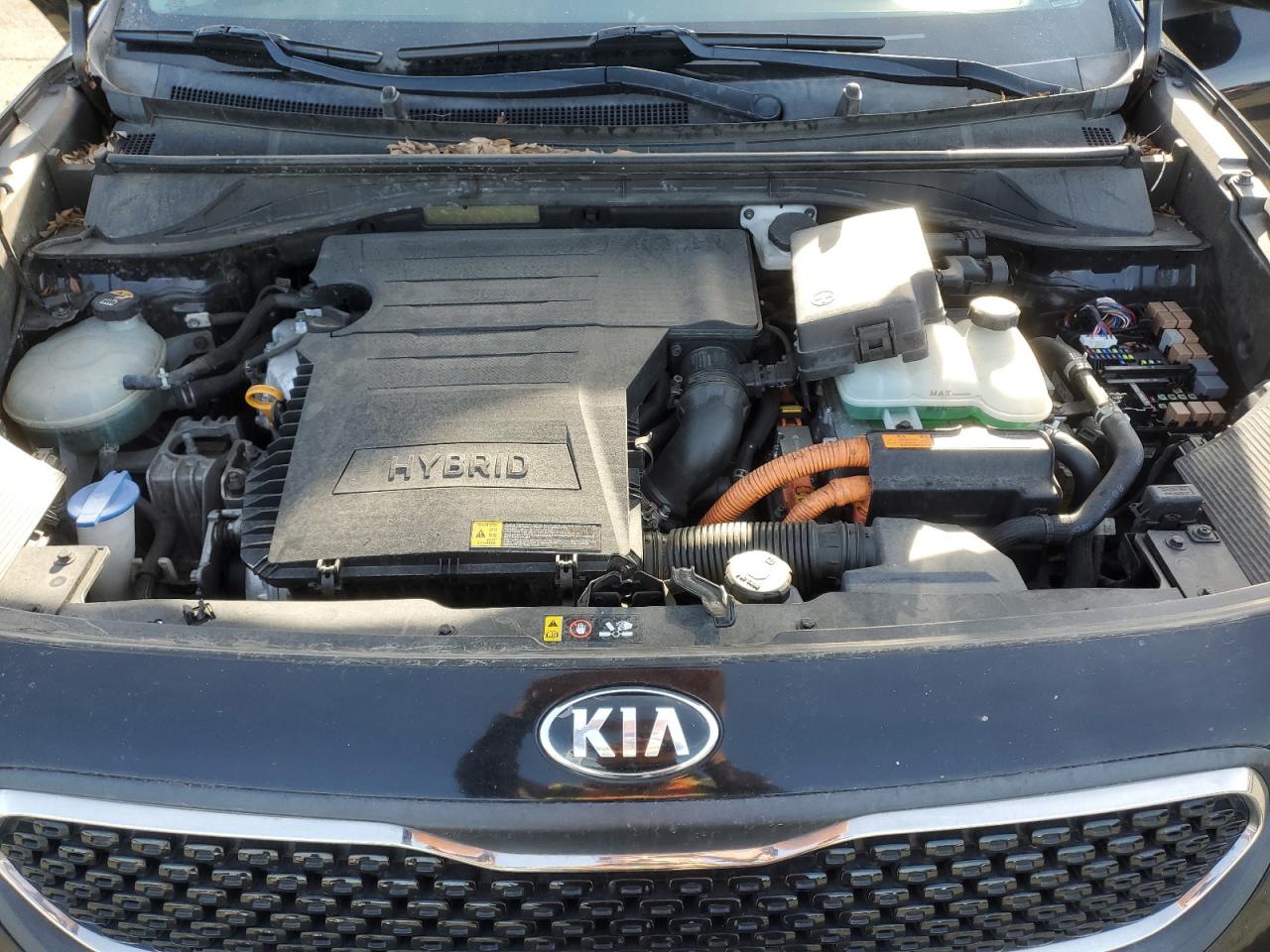 2018 KIA Niro VIN KNDCB3LC0J5139788 Copart auction photo, minor dent/scratches damage thumbnail 11