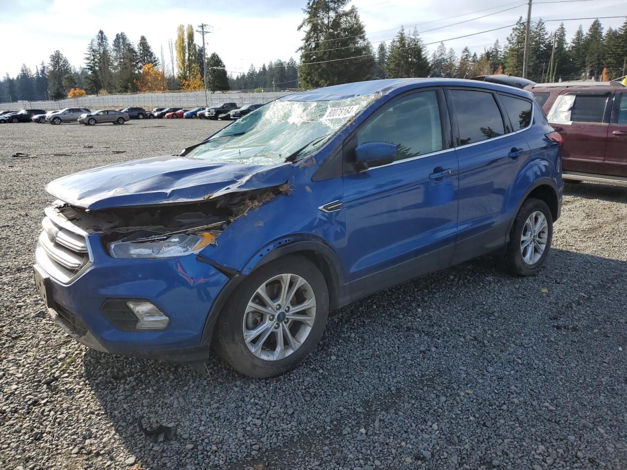 2019 Ford Escape VIN 1FMCU9GDXKUA21184