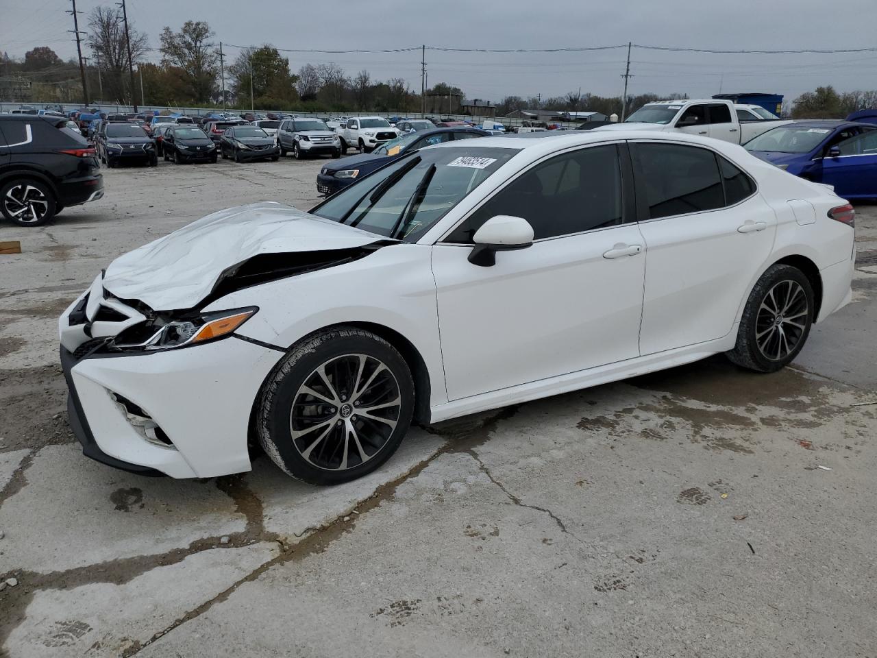 2019 Toyota Camry VIN 4T1B11HKXKU733861