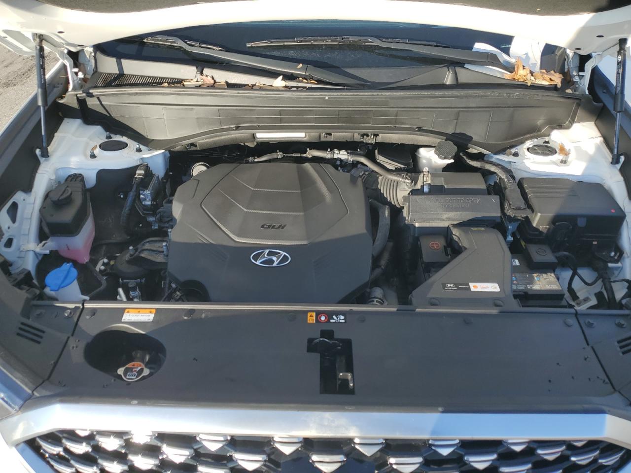 2022 Hyundai Palisade VIN KM8R7DHEXNU340570 Copart auction photo, all over damage thumbnail 12