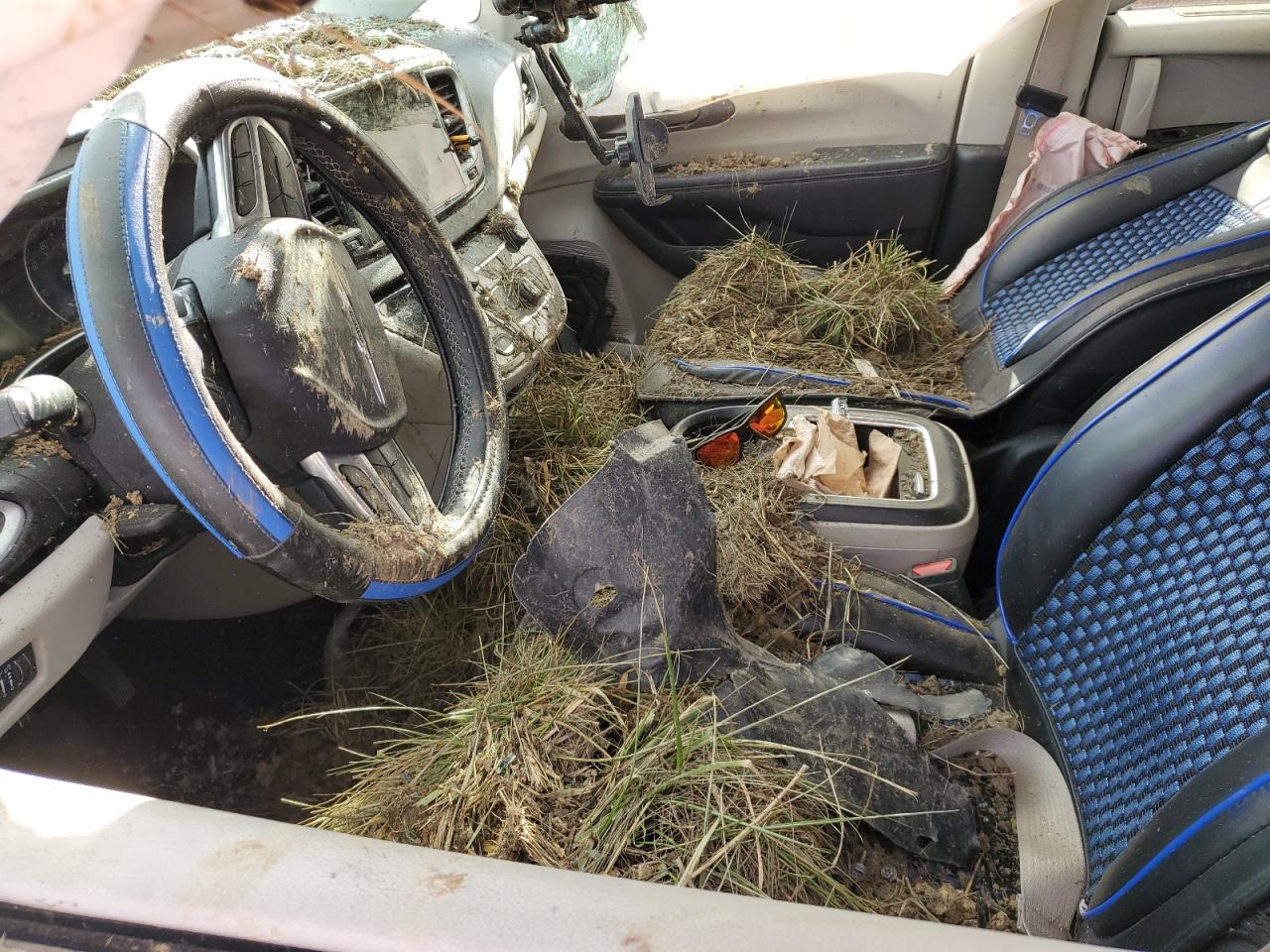 2022 Chrysler Pacifica VIN 2C4RC1BG1NR158262 Copart auction photo, rollover damage thumbnail 7
