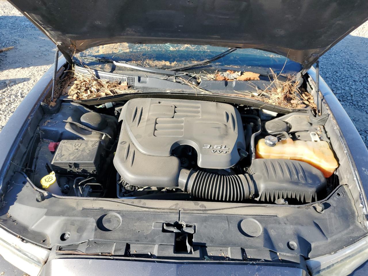2014 Dodge Charger VIN 2C3CDXBG9EH286071 Copart auction photo, top/roof / side damage thumbnail 11