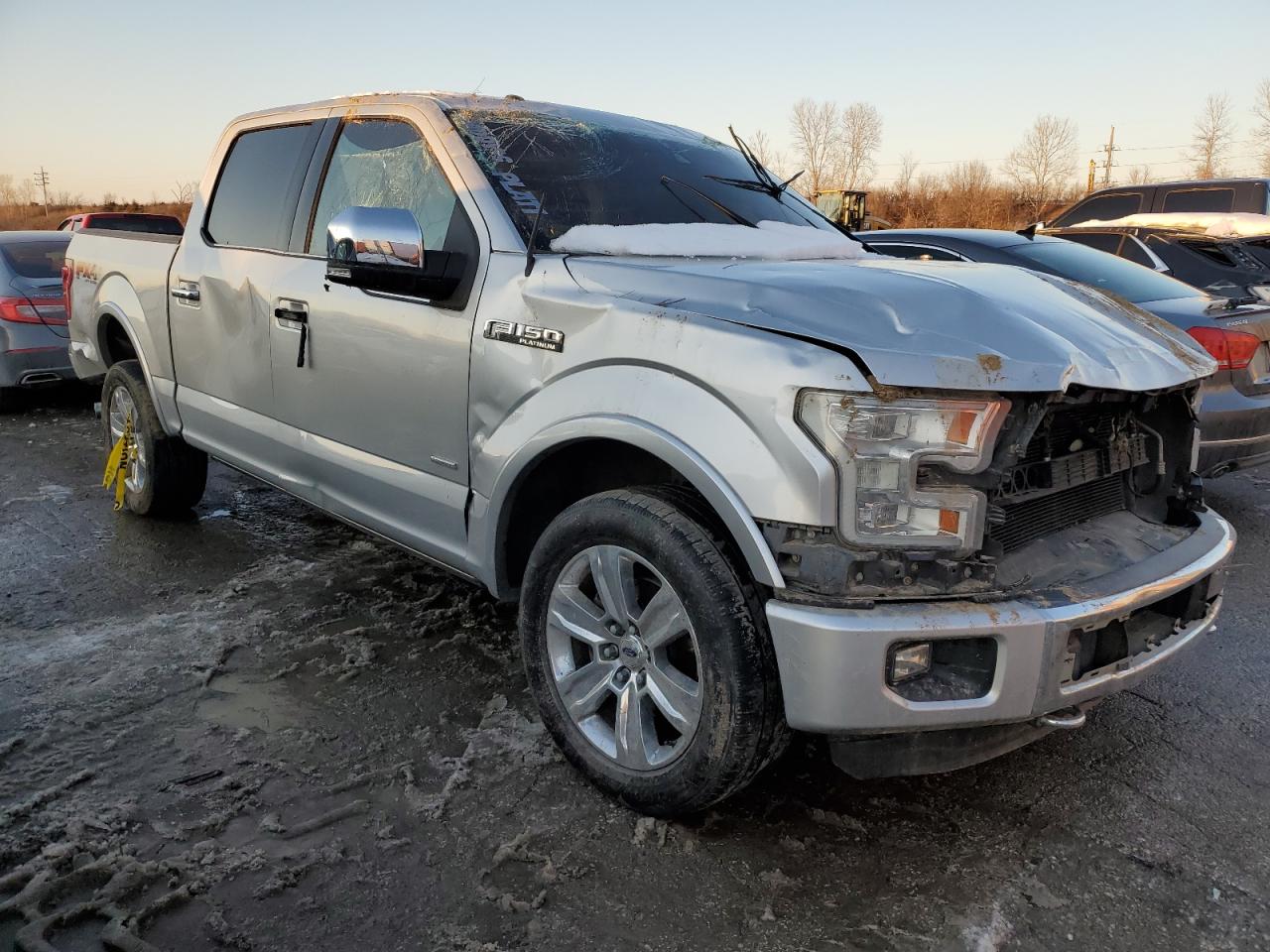 2016 Ford F-150 VIN 1FTEW1EG8GFA45159 Copart auction photo, rollover damage thumbnail 4