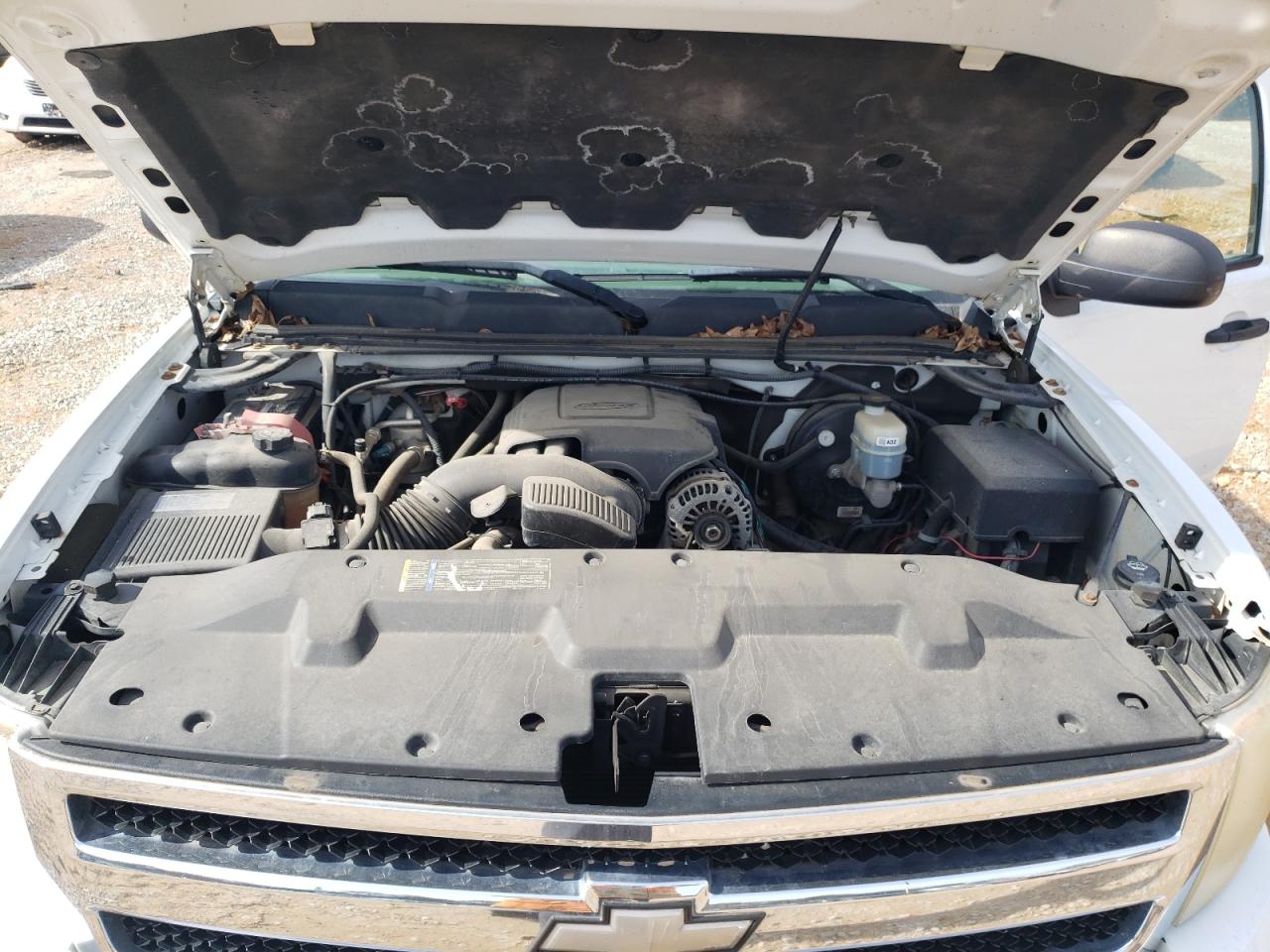 2009 Chevrolet Silverado VIN 1GCEK14CX9Z223312 Copart auction photo, rear end / side damage thumbnail 11