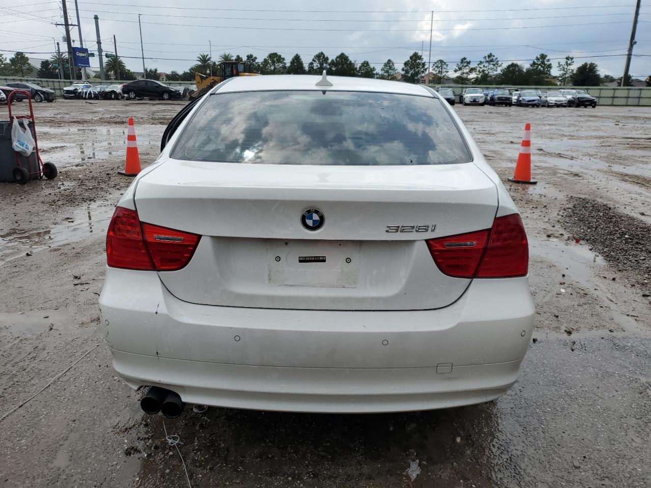 2010 BMW 3er VIN WBAPH7C59AE130304 Copart auction photo, side damage thumbnail 6