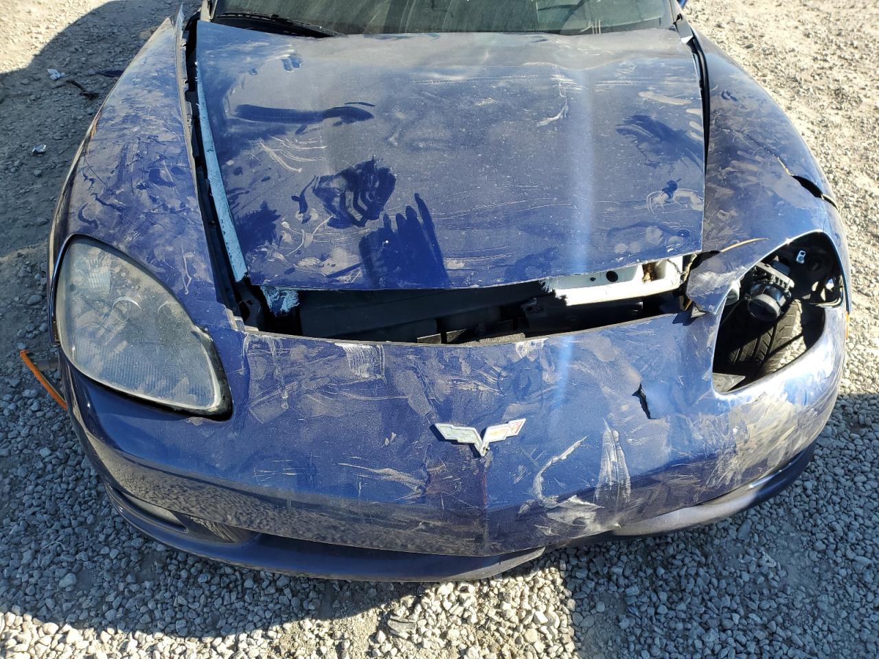 2005 Chevrolet Corvette VIN 1G1YY34UX55131840 Copart auction photo, front end damage thumbnail 13