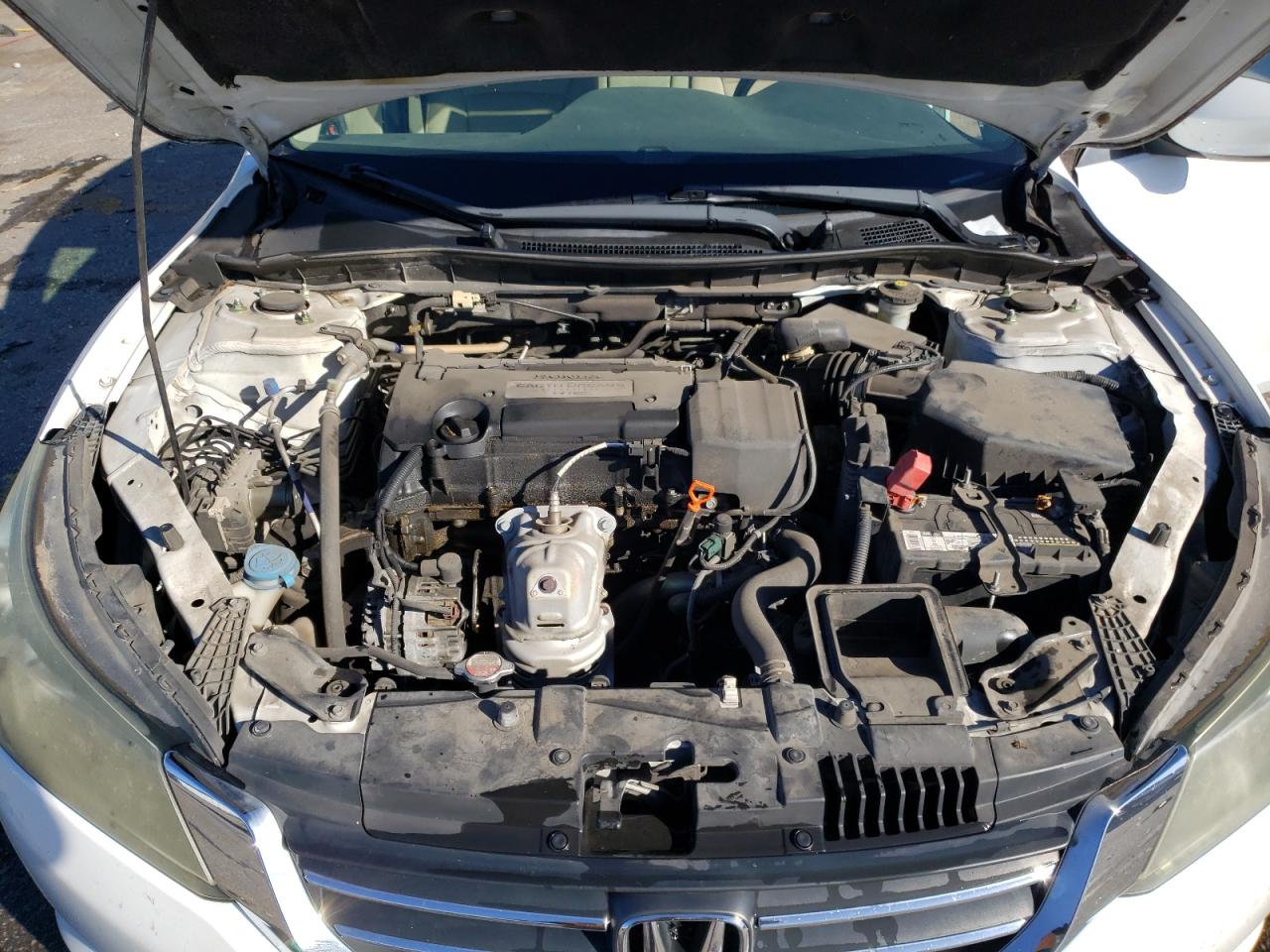 2015 Honda Accord VIN 1HGCR2F37FA065304 Copart auction photo, side damage thumbnail 11